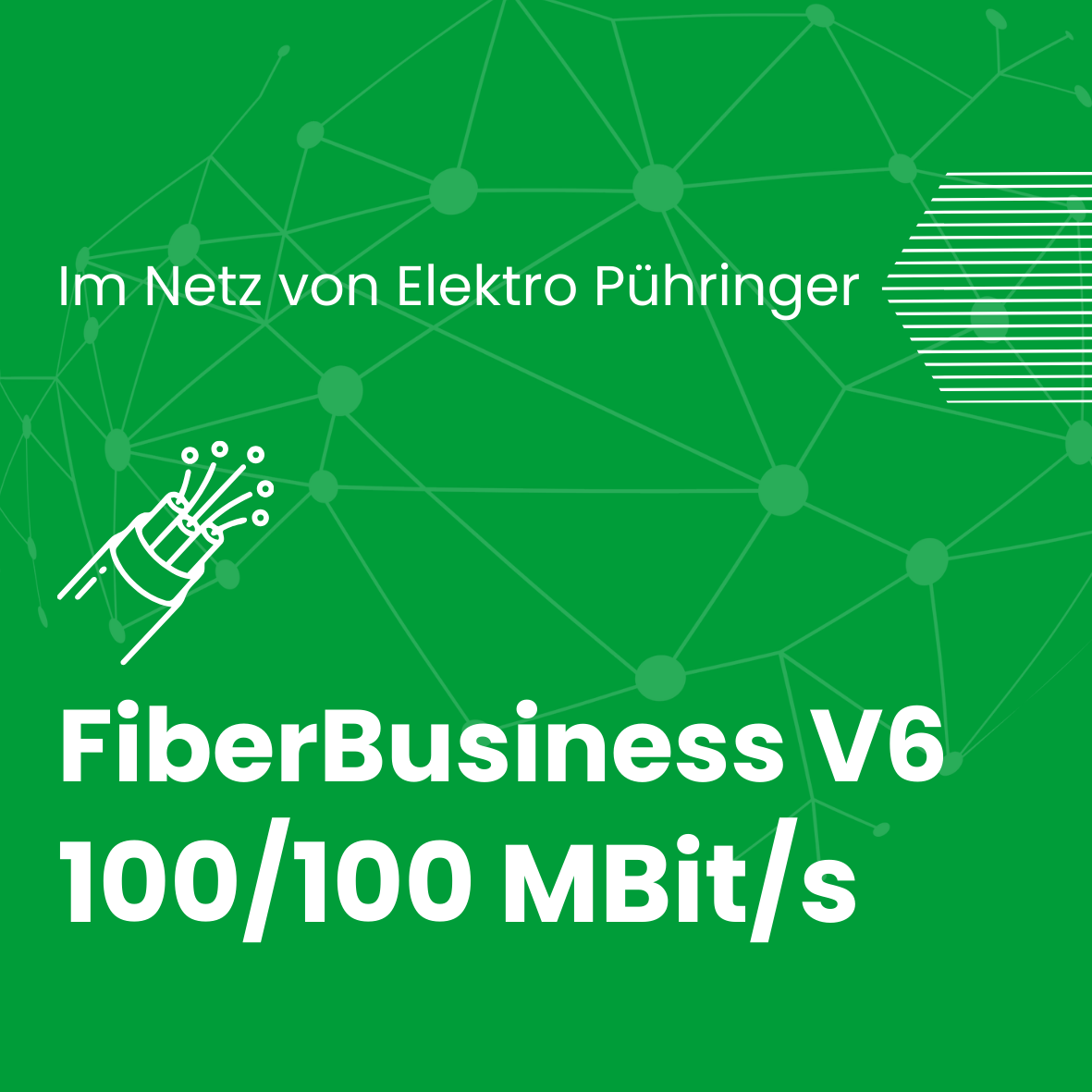 V6Business100