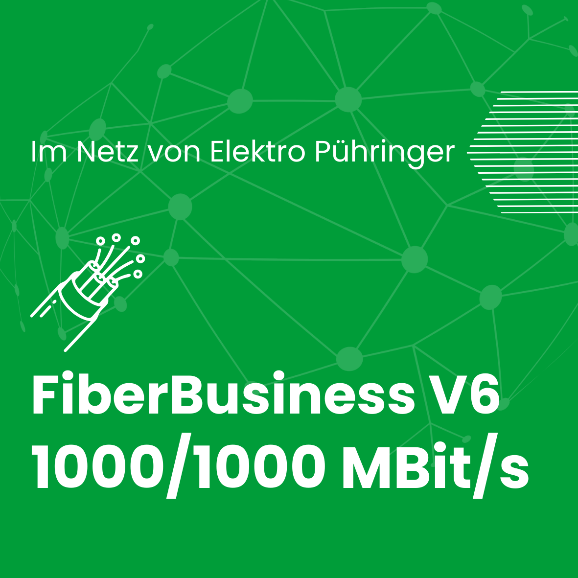 V6Business1000