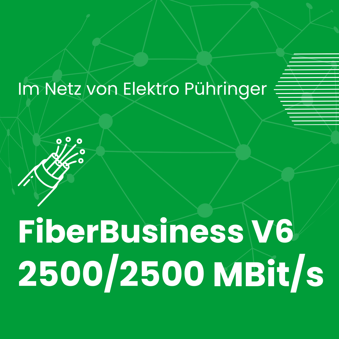 V6Business2500
