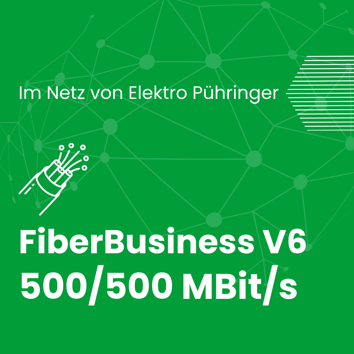 V6Business500
